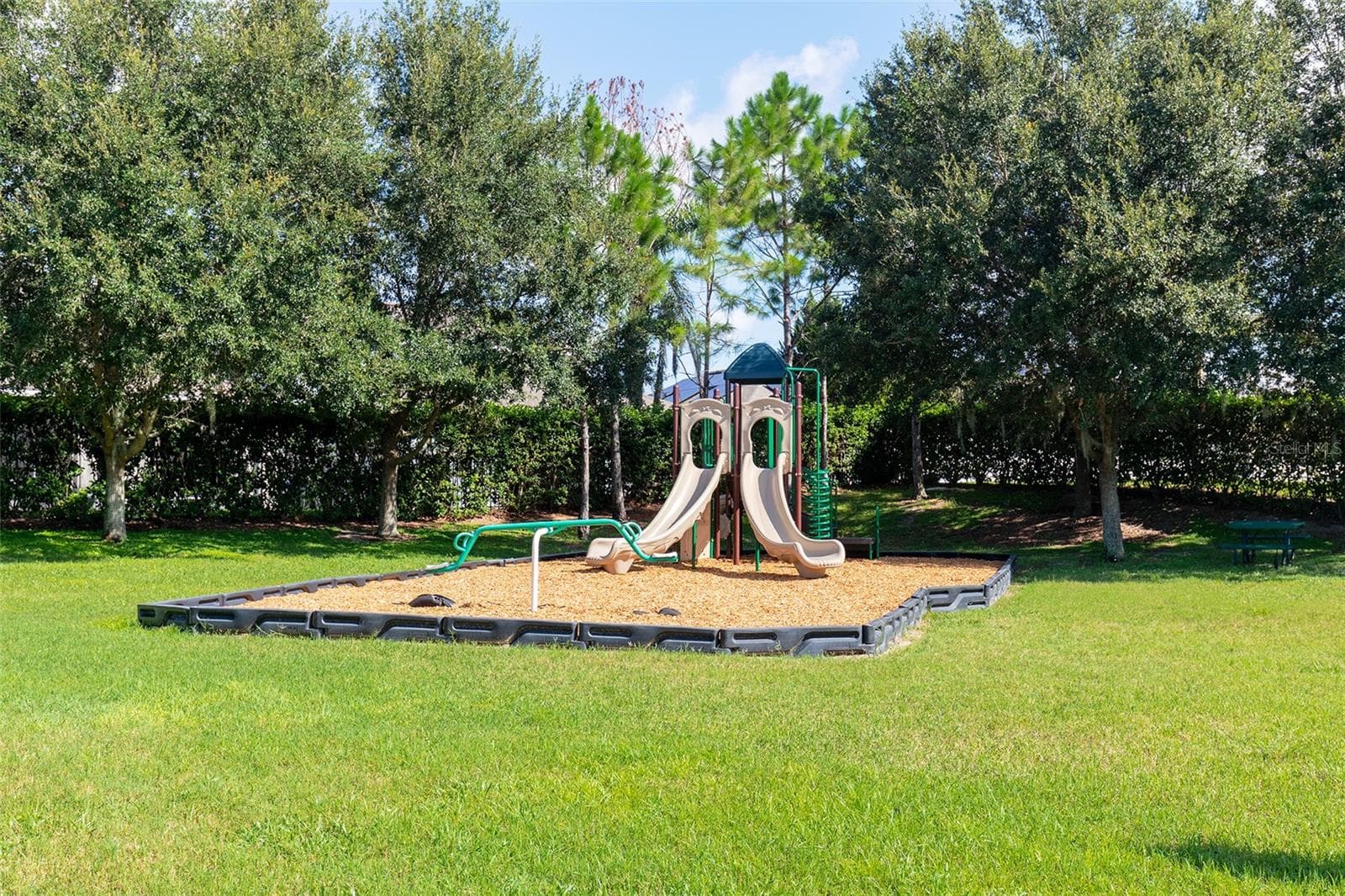 Community playground - 995 KARST TREE LN, APOPKA