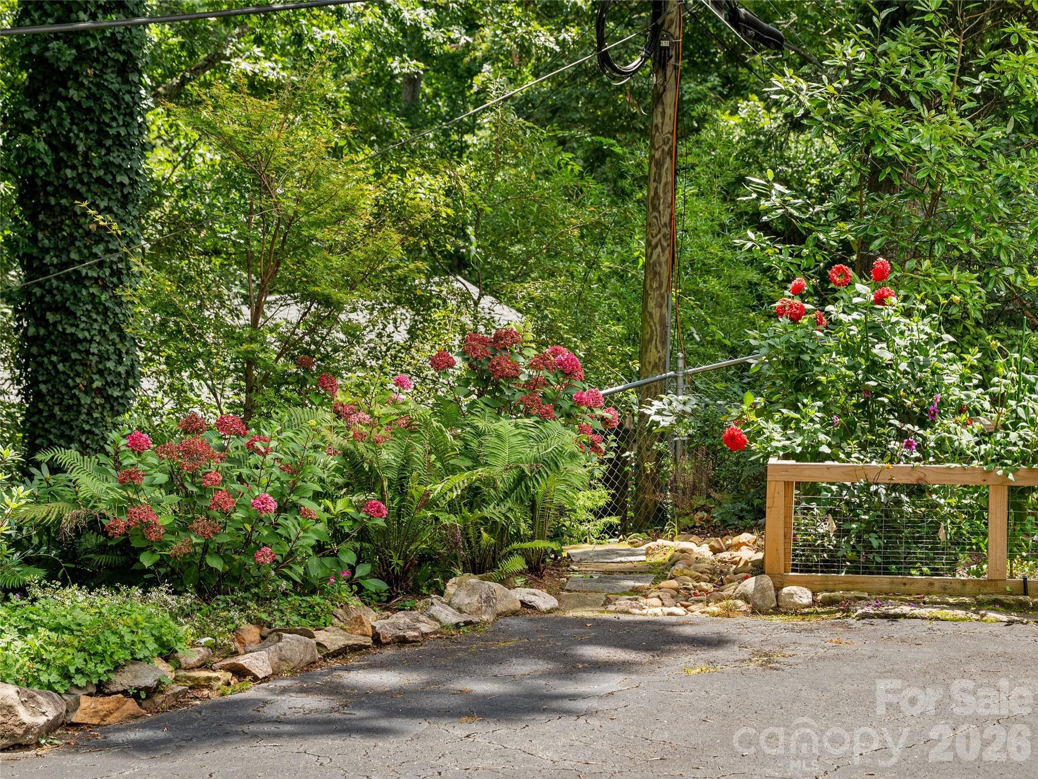 Mature landscpaing - 14 Griffing Boulevard, Asheville