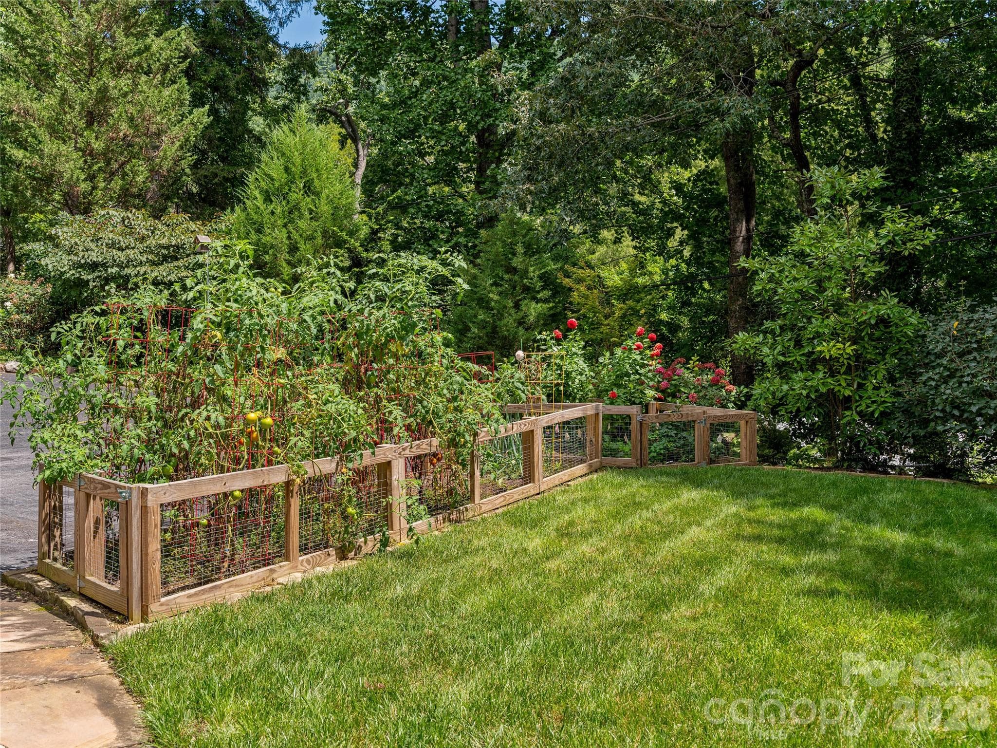 Fenced vegetable garden area - 14 Griffing Boulevard, Asheville