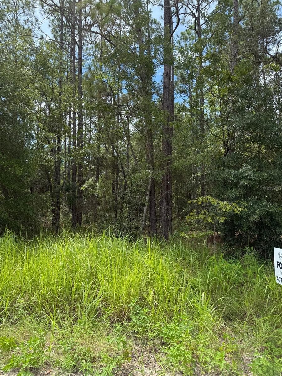4500 SW 175 CT