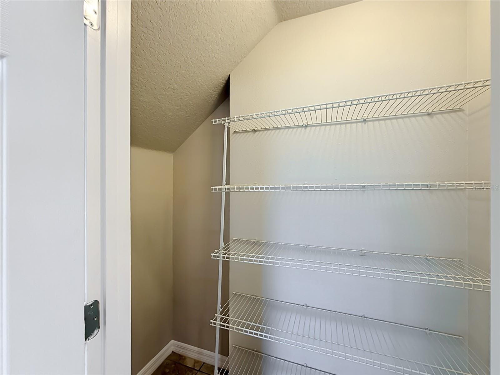 Single Family Residence at 3319 BETHPAGE LOOP, MOUNT DORA, photo 39 of 44