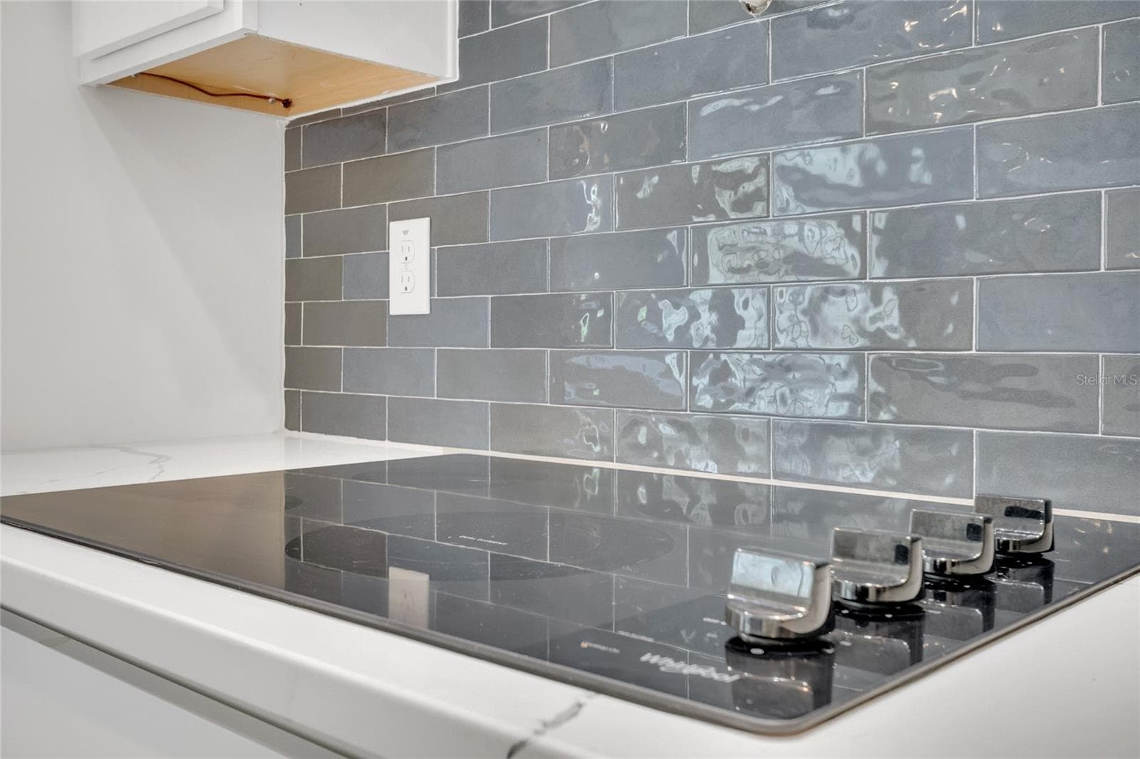 kitchen - 19062 BLUELEAF ST, ORLANDO