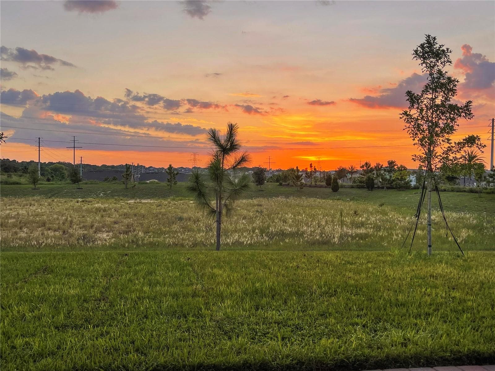 Daily sunset view, free of charge! - 2685 SWEET ACACIA DR, CLERMONT