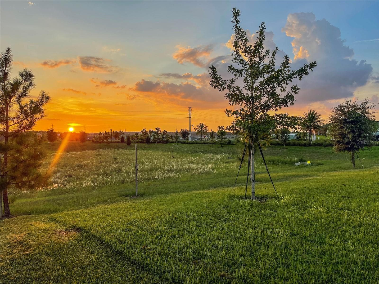 UNBELIEVABLE VIEW and THE SUNSET IS TO DIE FOR. Remember the HOA space behind your property is maintained by the HOA so you get the view and the maintenance is done for you. - 2685 SWEET ACACIA DR, CLERMONT