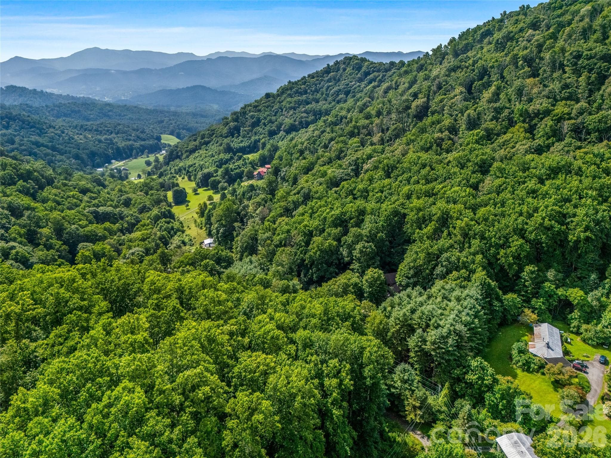 Beautiful long-range Blue Ridge Mountain views framed by lush, forested ridgelines. - 81 Summer Trees Lane, Burnsville