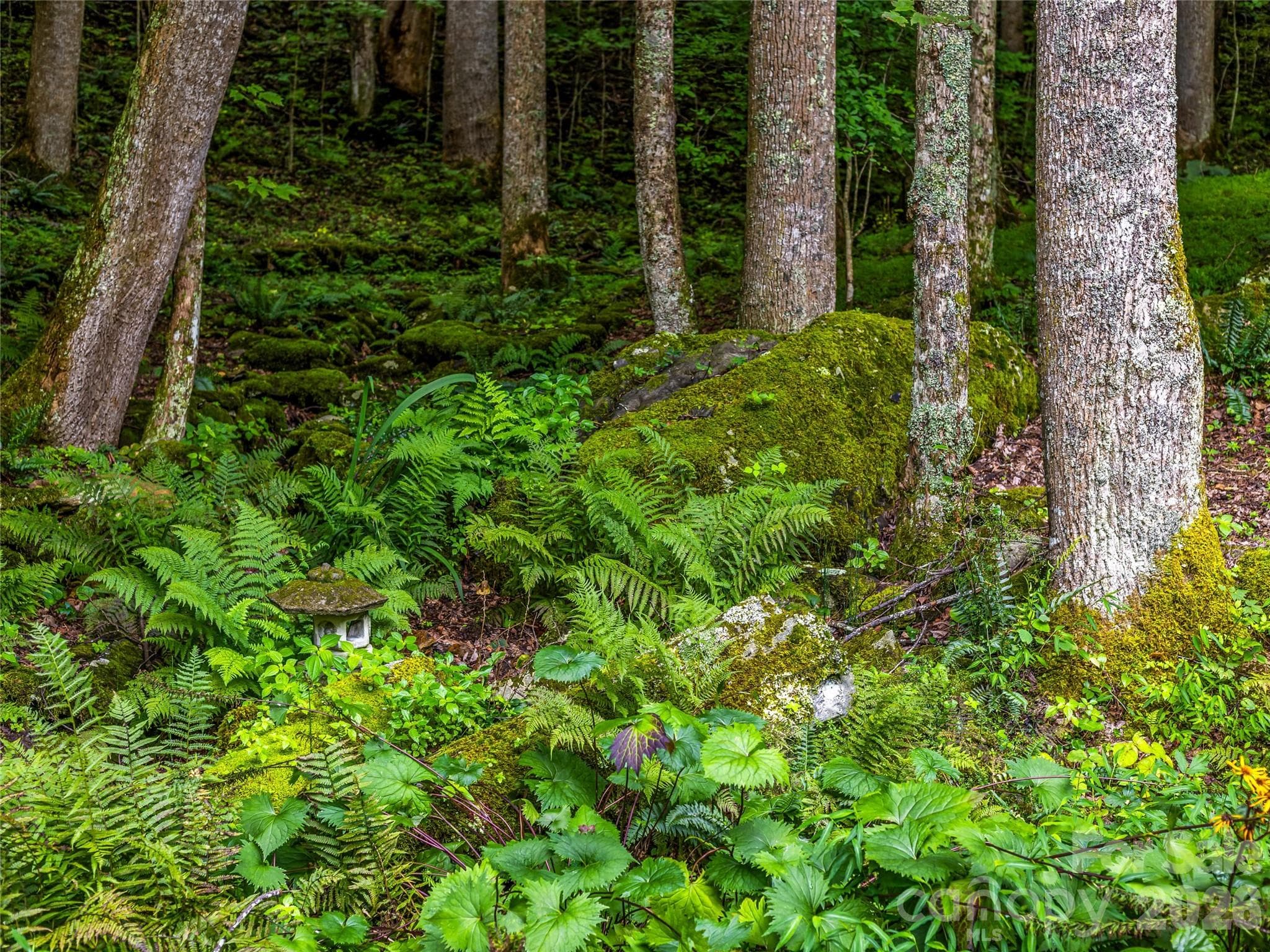 Extensive gardens, natural rock hardscaping, lush ferns, and mature trees create an enchanting forest setting. - 81 Summer Trees Lane, Burnsville