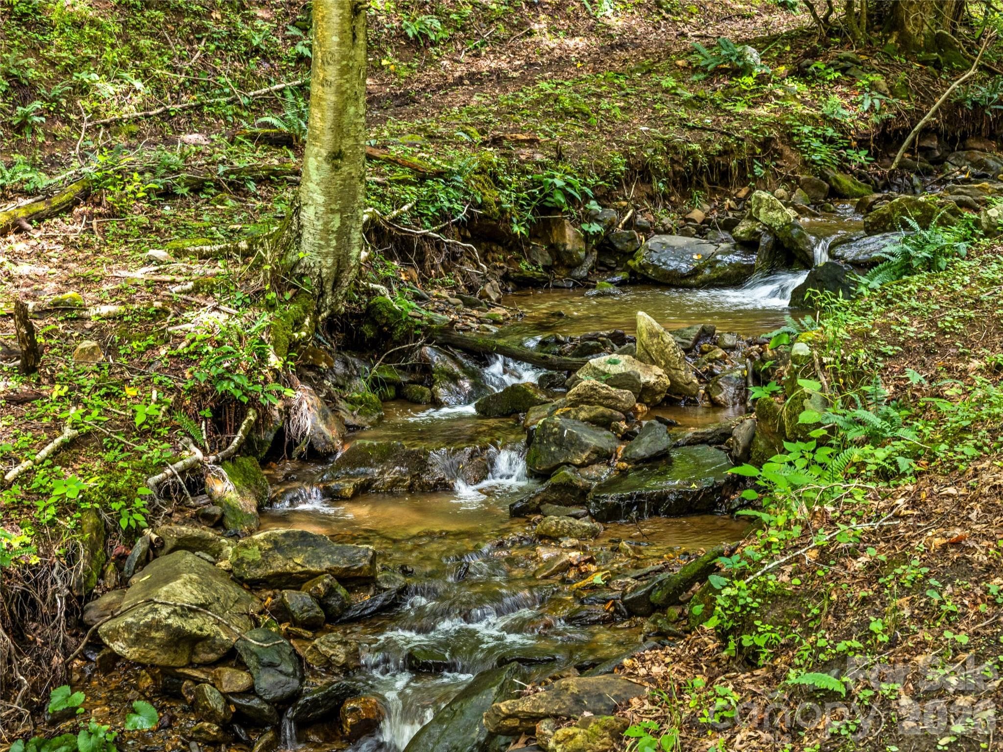 Gentle streams as you approach property - 81 Summer Trees Lane, Burnsville