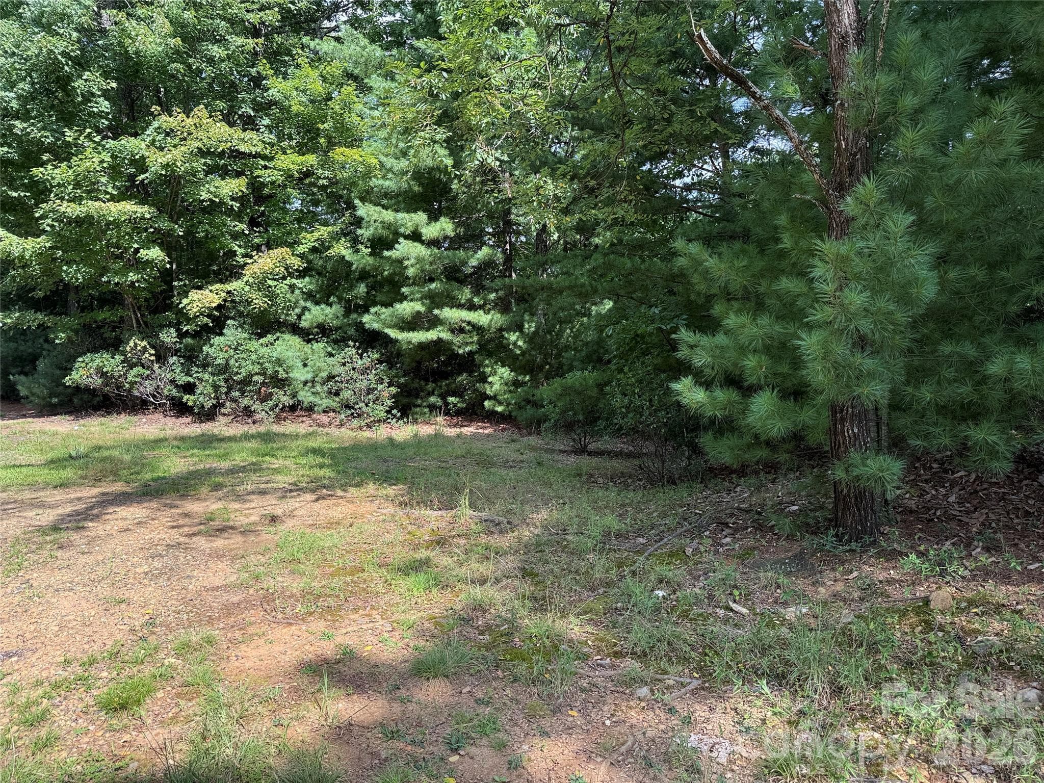TBD Rich Pine Drive