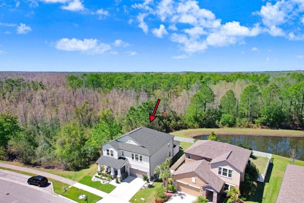Single Family Residence at 8721 SAVORY WALK DR, LAND O LAKES, photo 6 of 81