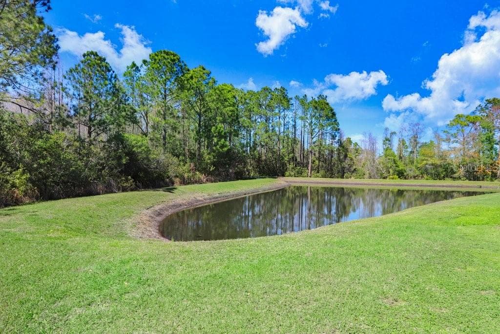Single Family Residence at 8721 SAVORY WALK DR, LAND O LAKES, photo 60 of 81