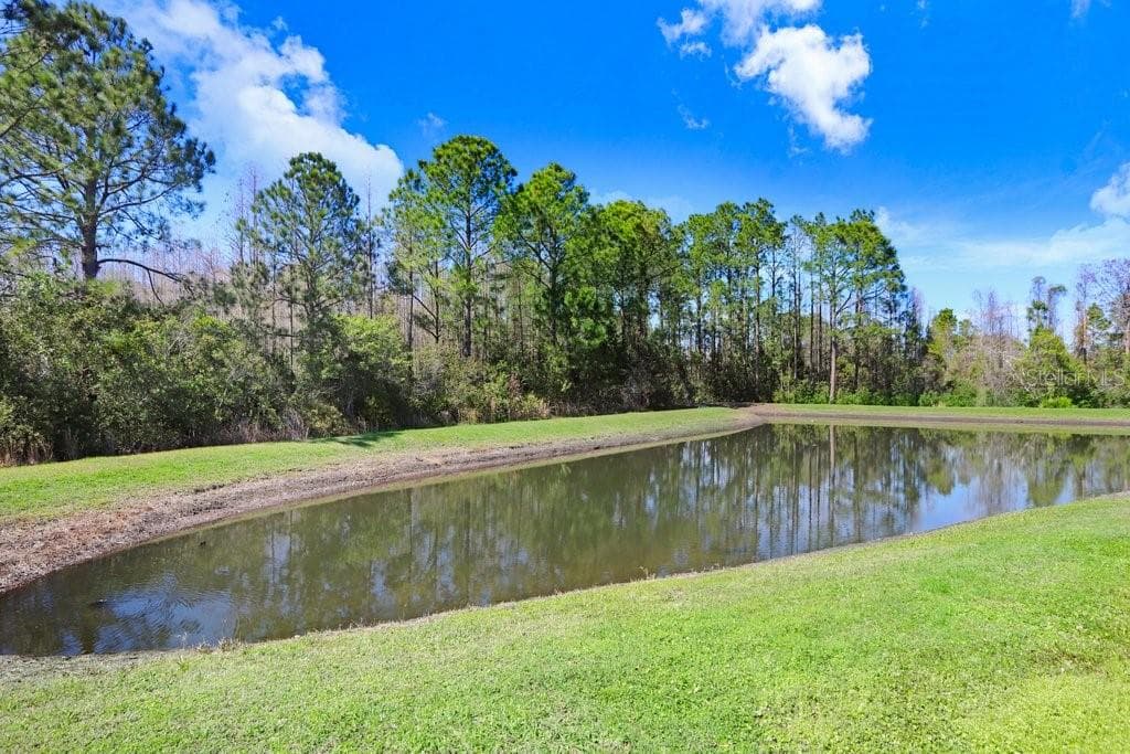 Single Family Residence at 8721 SAVORY WALK DR, LAND O LAKES, photo 63 of 81