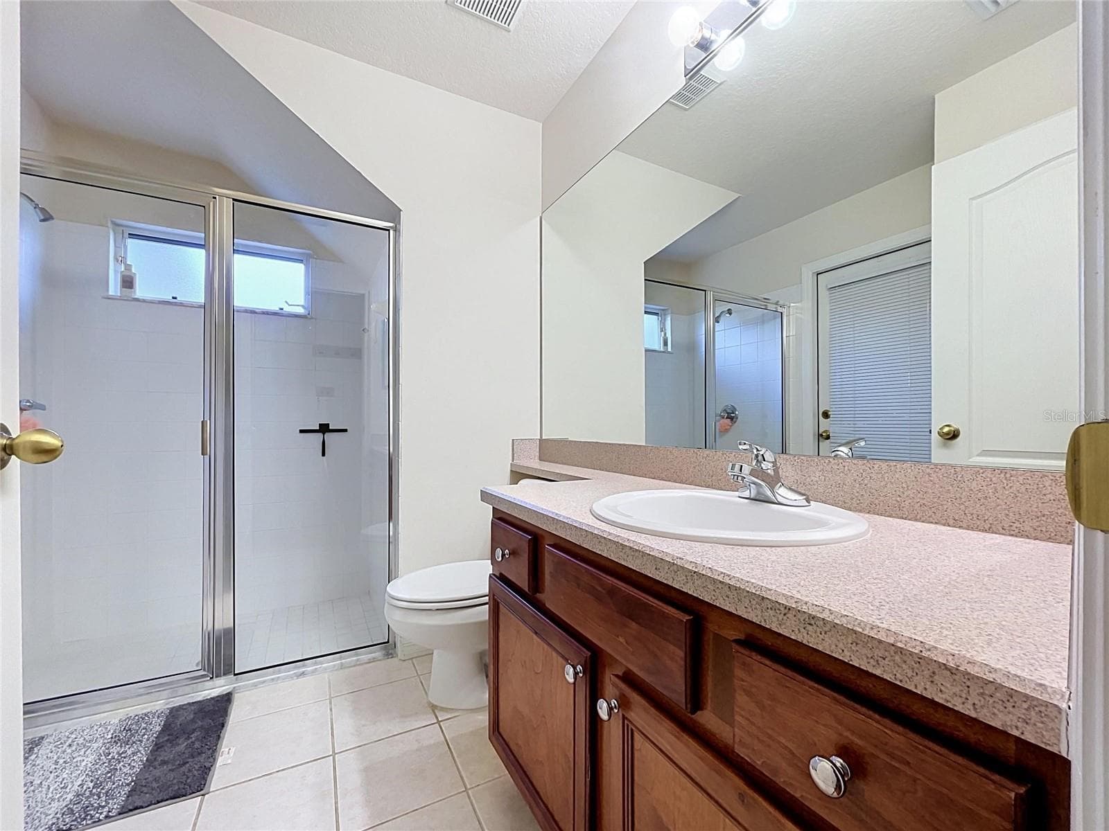 Downstairs Bathhrom - 1124 SPLIT SILK ST, VALRICO