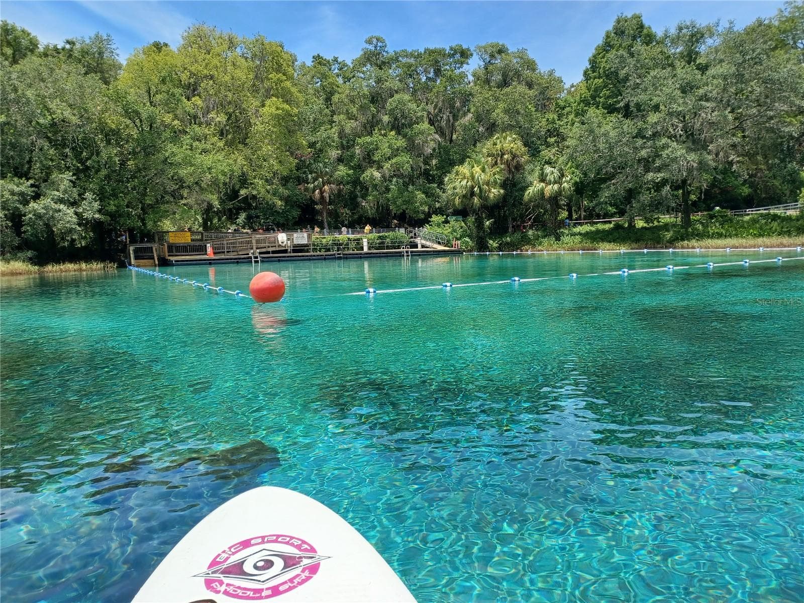 Short paddle from Residents beach up to the Head Spring.  This is the roped off swimming area of Rainbow Springs State Park. - 19199 SW 92ND LOOP, DUNNELLON
