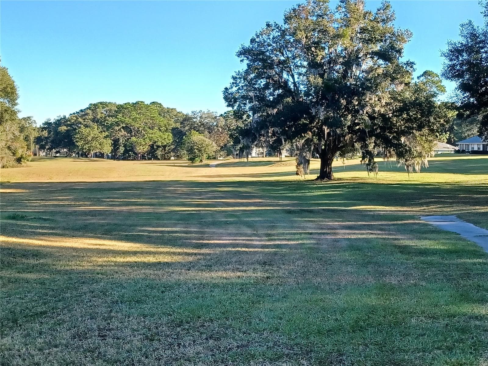 Beautiful Walking paths, gopher tortoises frequently spotted along with red tailed hawks, wild bunnies.. - 19199 SW 92ND LOOP, DUNNELLON