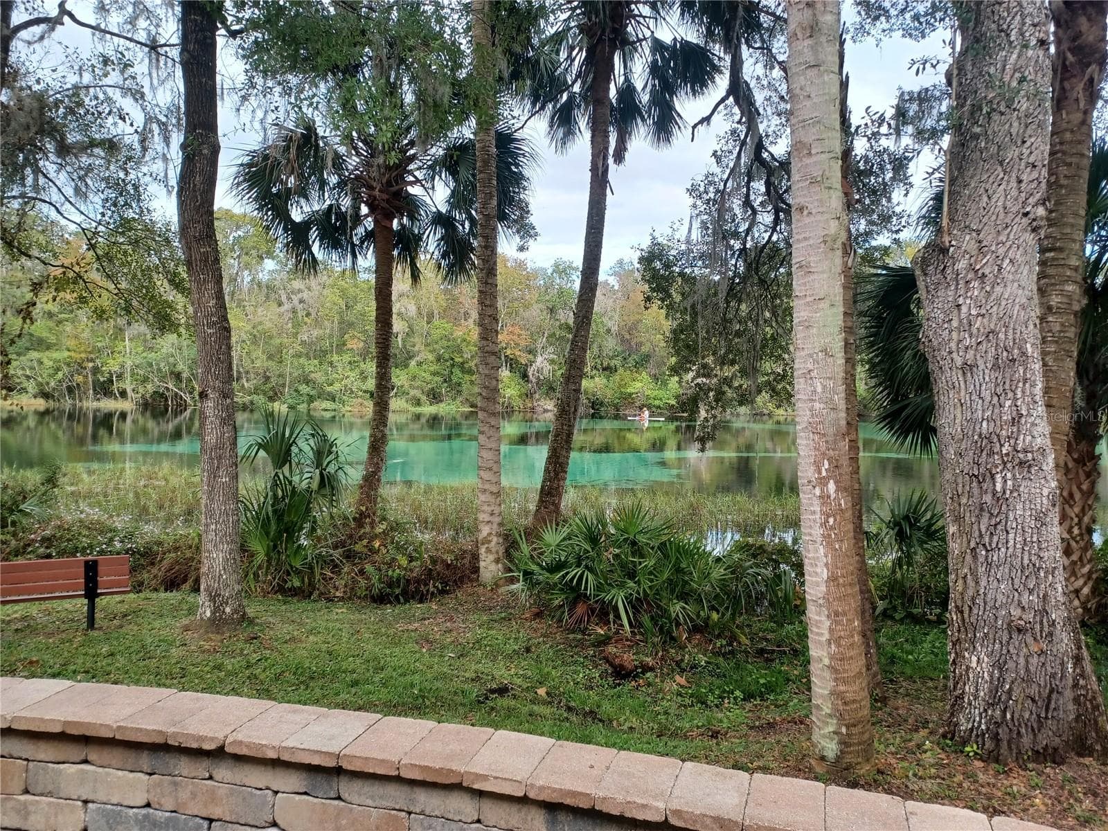 Stunning views of the Rainbow River from the Resident's Park. - 19199 SW 92ND LOOP, DUNNELLON