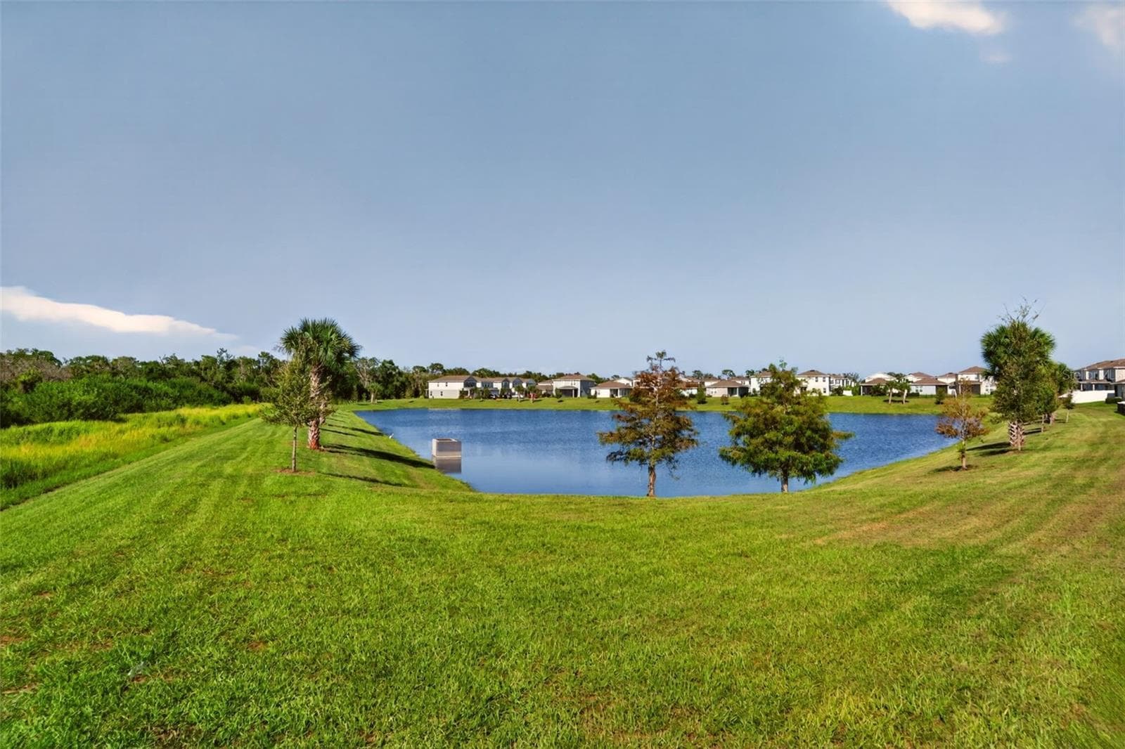 Single Family Residence at 14076 CRIMSON AVE, LAKEWOOD RANCH, photo 44 of 50