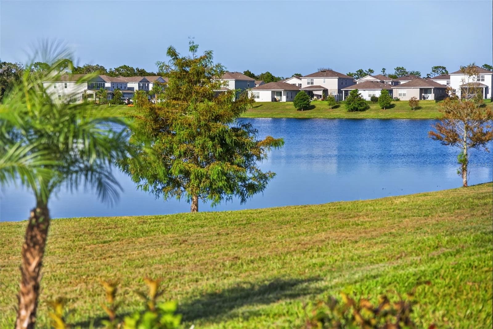 Single Family Residence at 14076 CRIMSON AVE, LAKEWOOD RANCH, photo 45 of 50