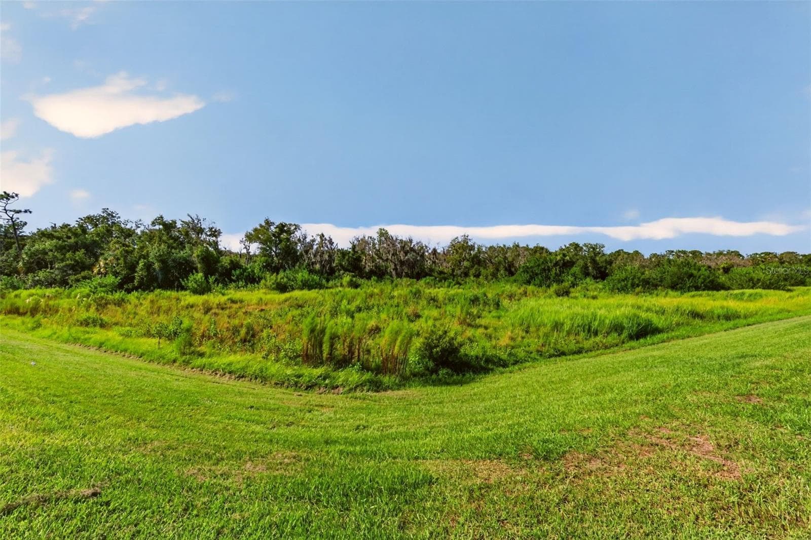 Single Family Residence at 14076 CRIMSON AVE, LAKEWOOD RANCH, photo 46 of 50