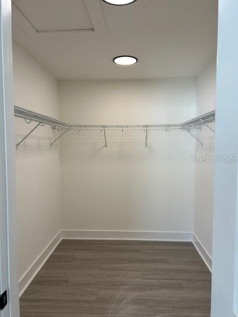 primary WIC - 2051 PEEL AVE, ORLANDO
