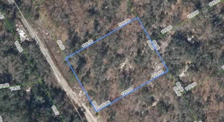 289 BLUE HORIZON DR