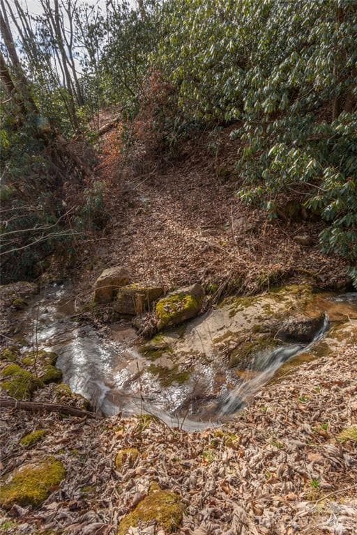 2220 Tract 1 Tilley Creek Road