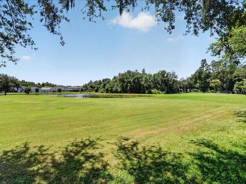 Single Family Residence at 10420 LUCAYA DR, TAMPA, photo 39 of 42