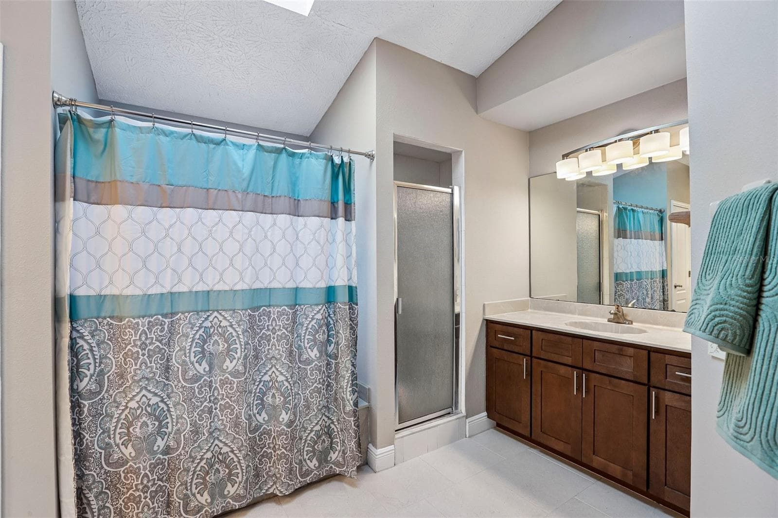 Primary Bathroom - 1424 DUMONT DR, VALRICO