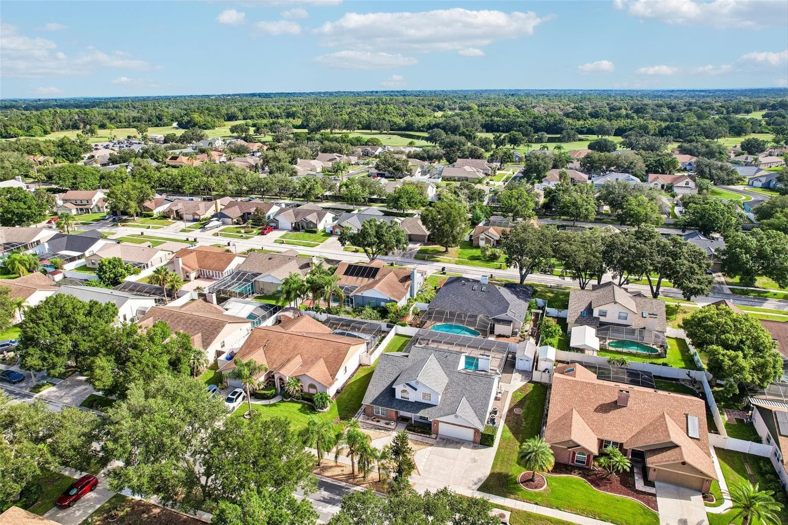 Ariel view of neighborhood - 1424 DUMONT DR, VALRICO