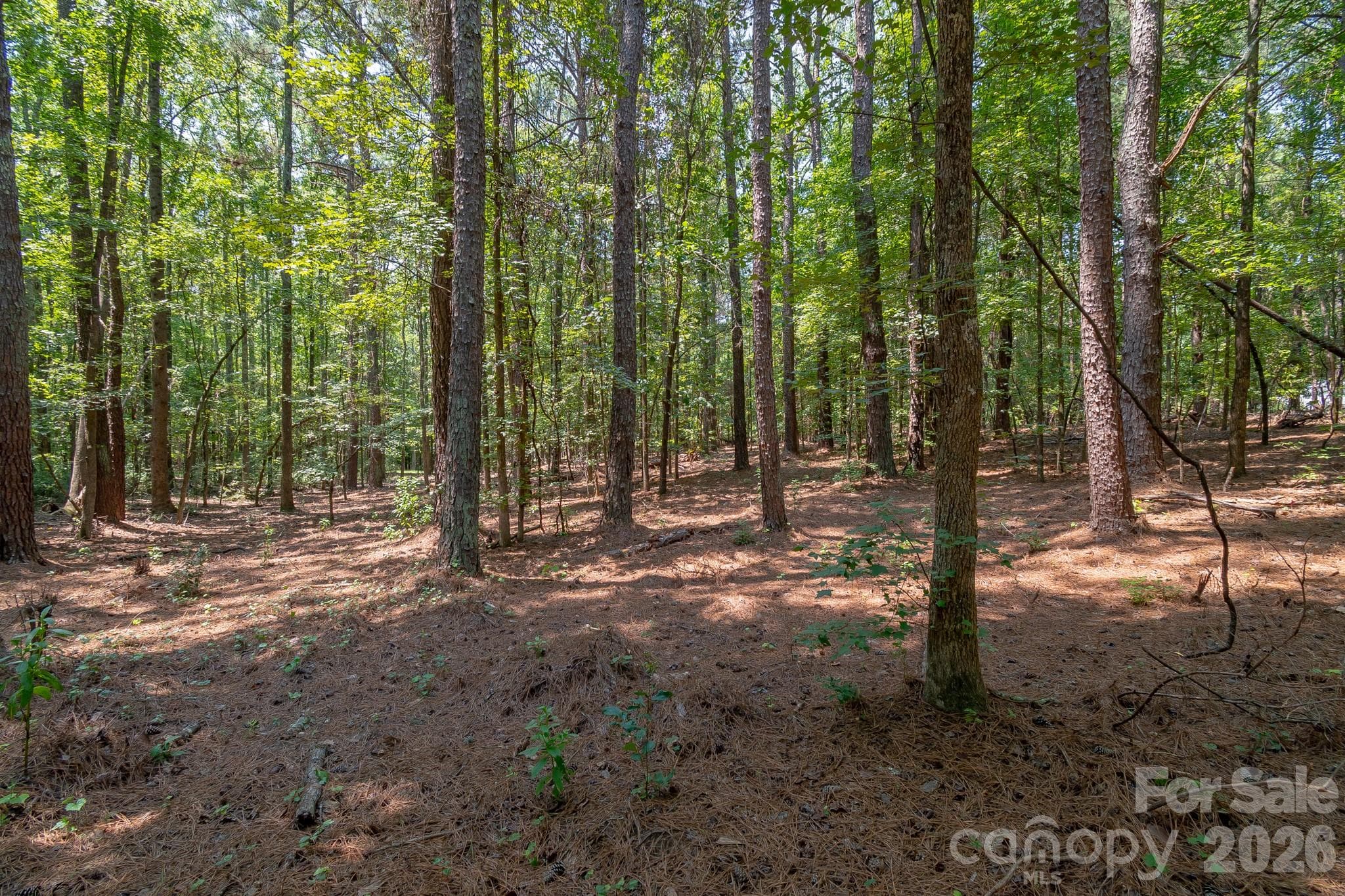 Sparse clearing at front - 5316 Rehobeth Road, Waxhaw