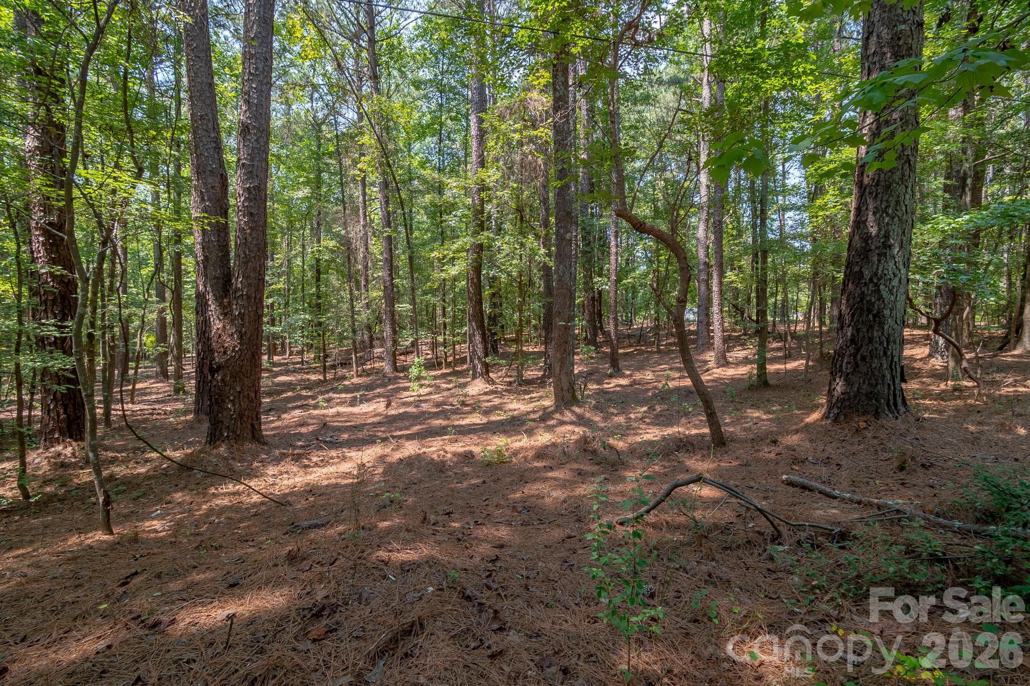 Lot at 5316 Rehobeth Road, Waxhaw, photo 19 of 25