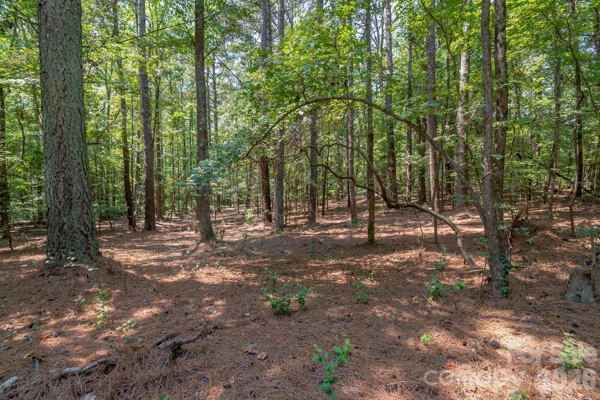 Lot at 5316 Rehobeth Road, Waxhaw, photo 20 of 25