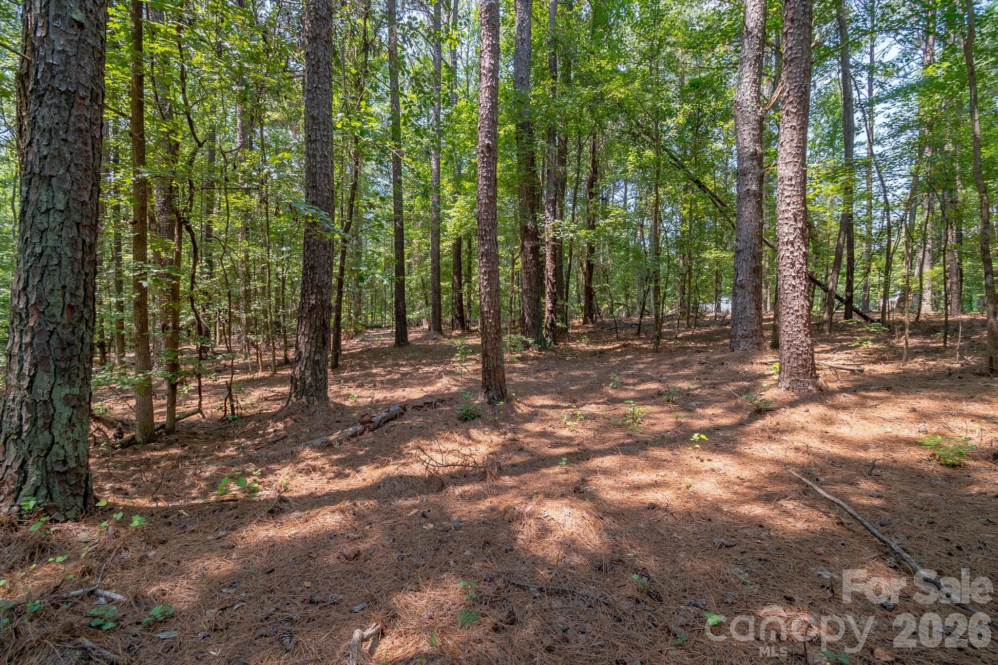 Lot at 5316 Rehobeth Road, Waxhaw, photo 21 of 25