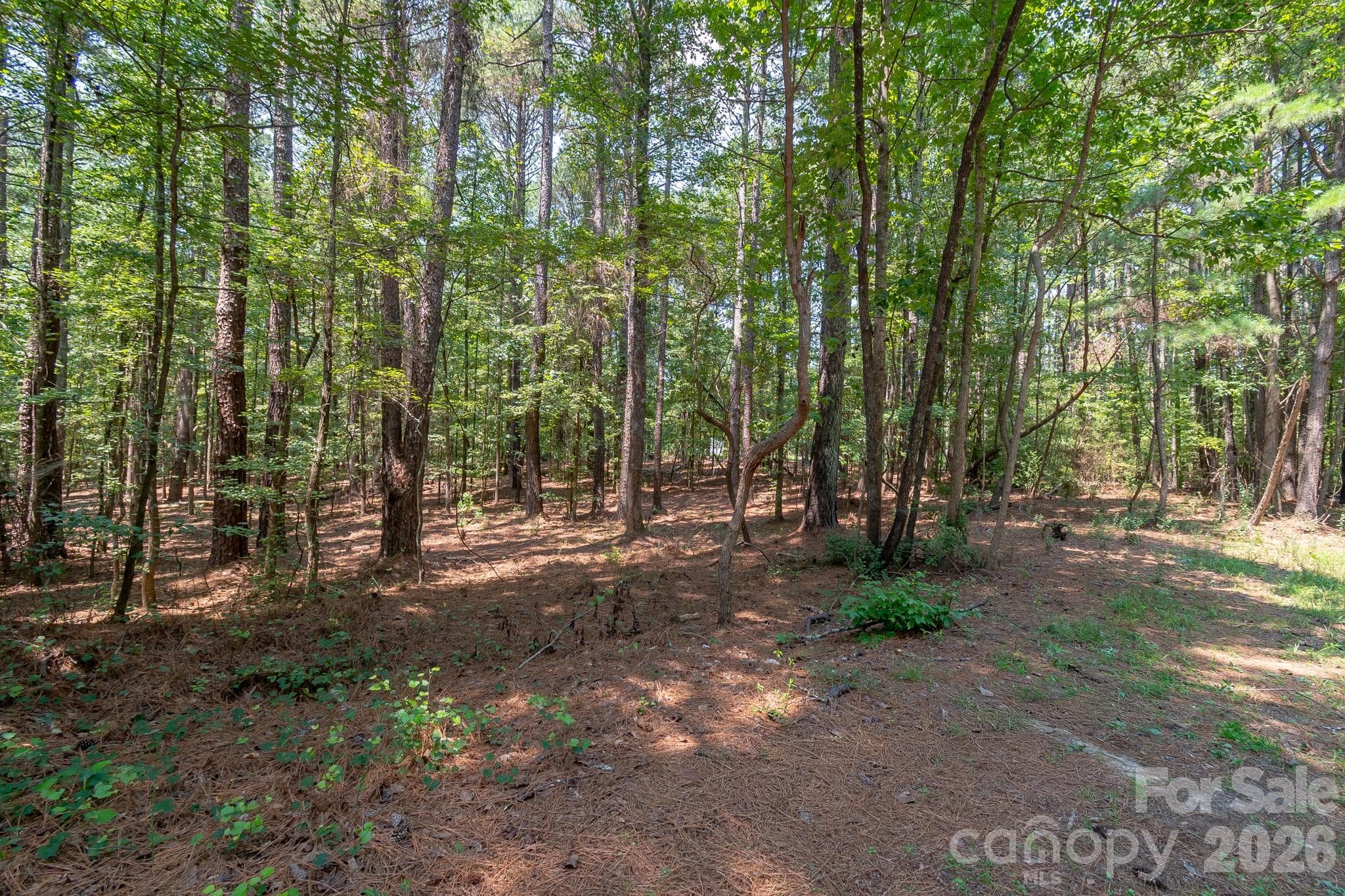 Lot at 5316 Rehobeth Road, Waxhaw, photo 23 of 25