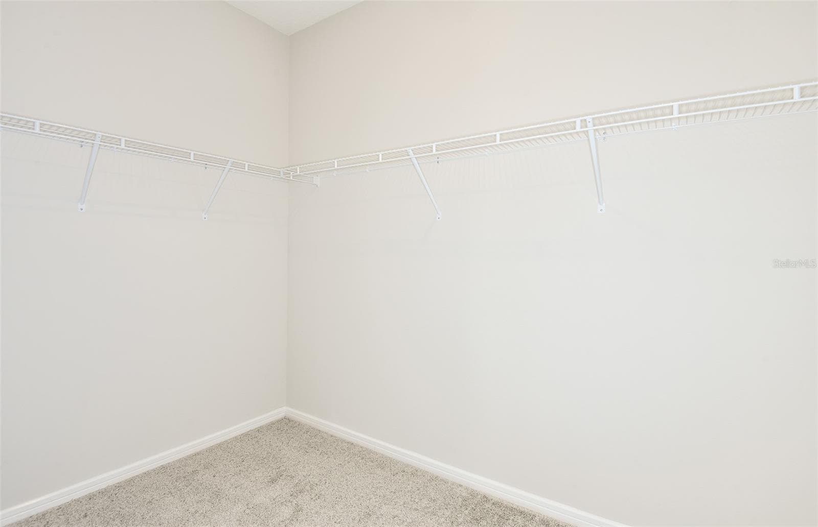 Model Representation - 33506 BARNEBROOK DR, WESLEY CHAPEL