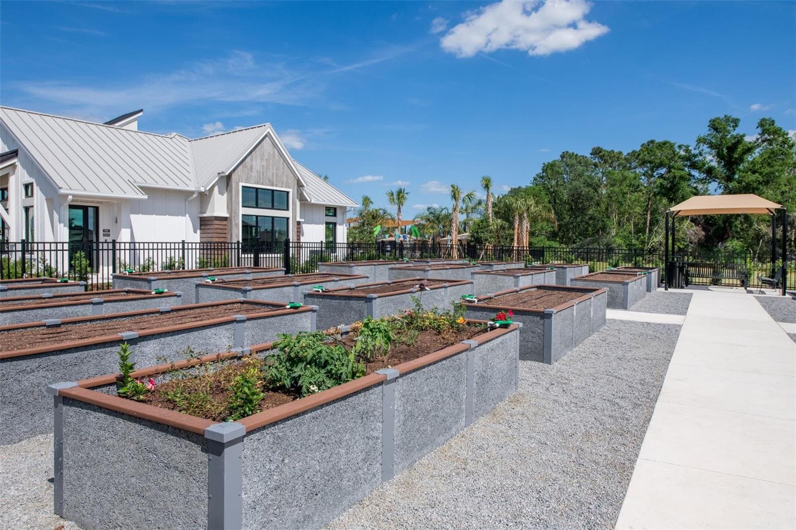 Vida’s Bloom Community Garden - 33506 BARNEBROOK DR, WESLEY CHAPEL