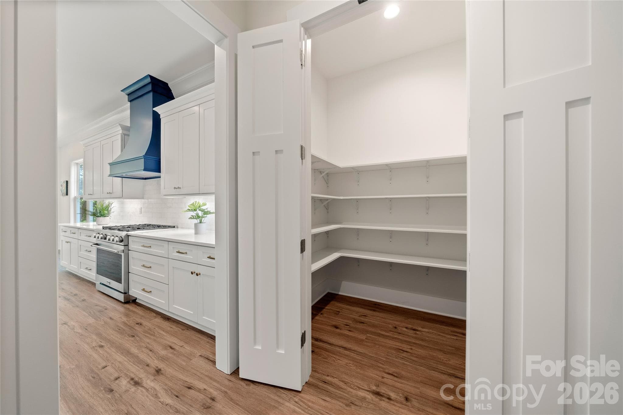 Walk-in pantry - 227 Northview Drive, Hendersonville