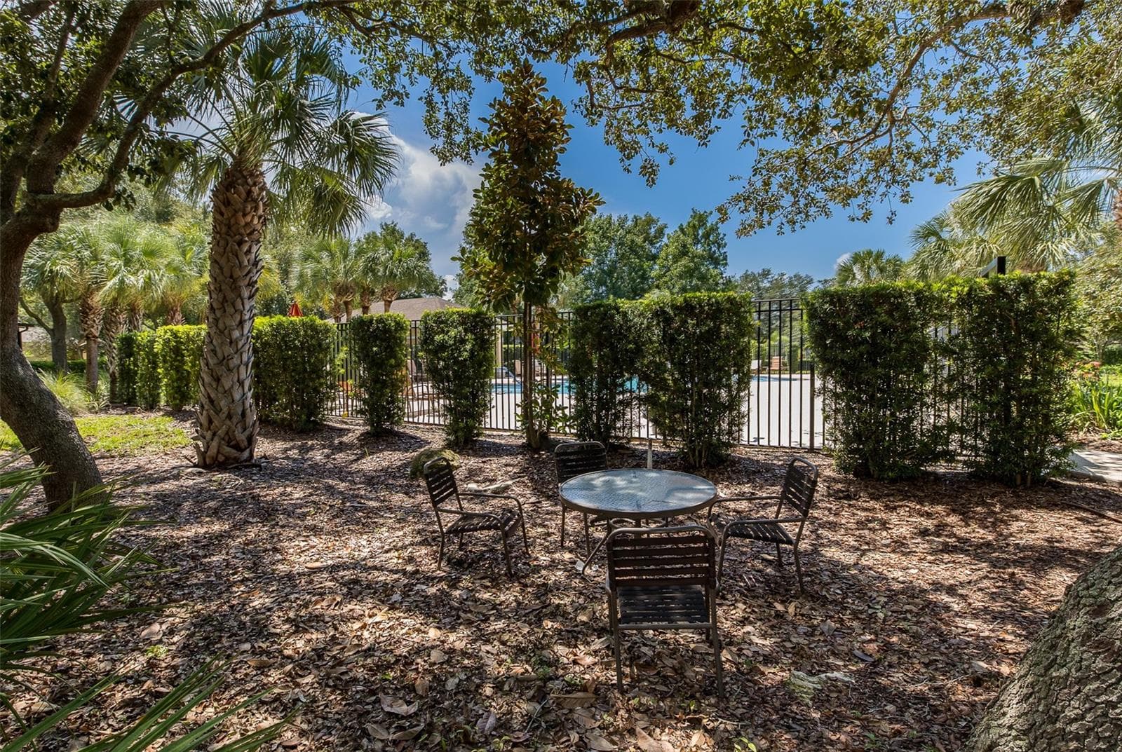 Community park - 2220 PARROT FISH DR, HOLIDAY