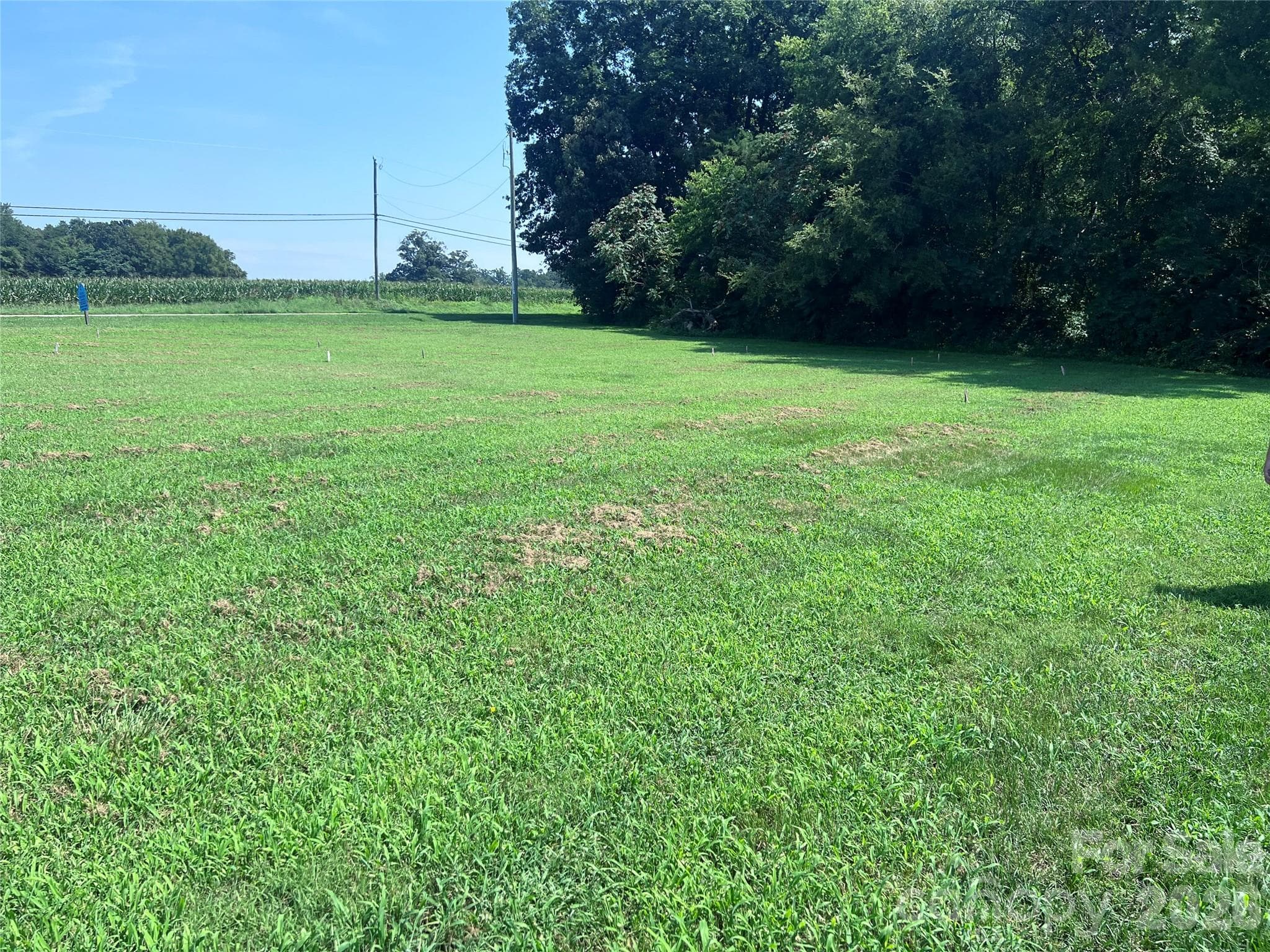 Lot at 115 Brookleaf Lane, Mooresville, photo 5 of 14