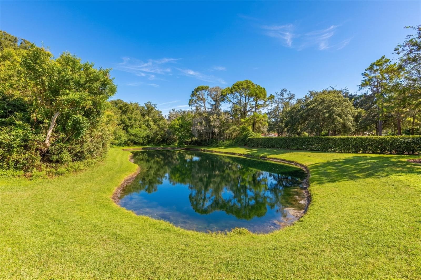 View of Pond - 11201 GREEN PARK CIR, TAMPA