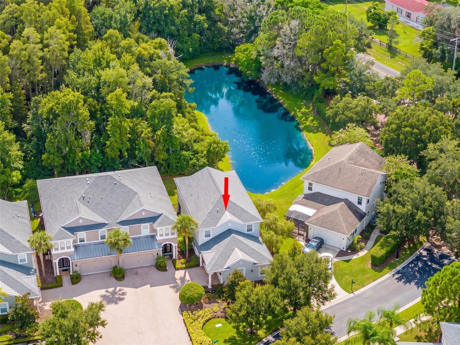 Aerial View - 11201 GREEN PARK CIR, TAMPA