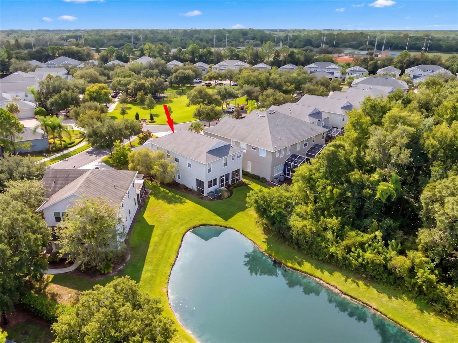 Aerial View - 11201 GREEN PARK CIR, TAMPA