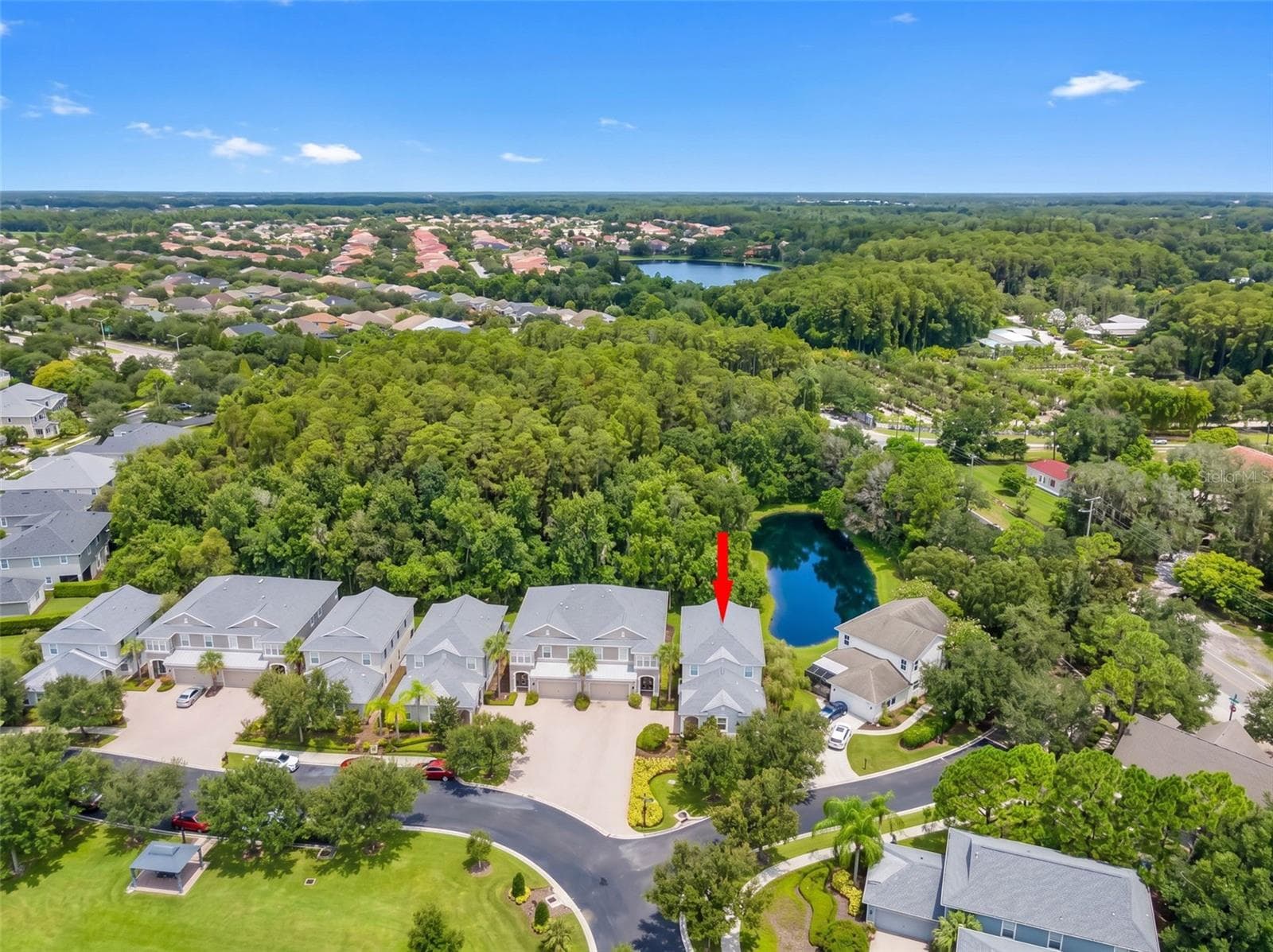 Aerial View - 11201 GREEN PARK CIR, TAMPA