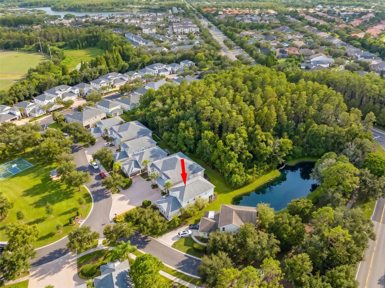Aerial View - 11201 GREEN PARK CIR, TAMPA