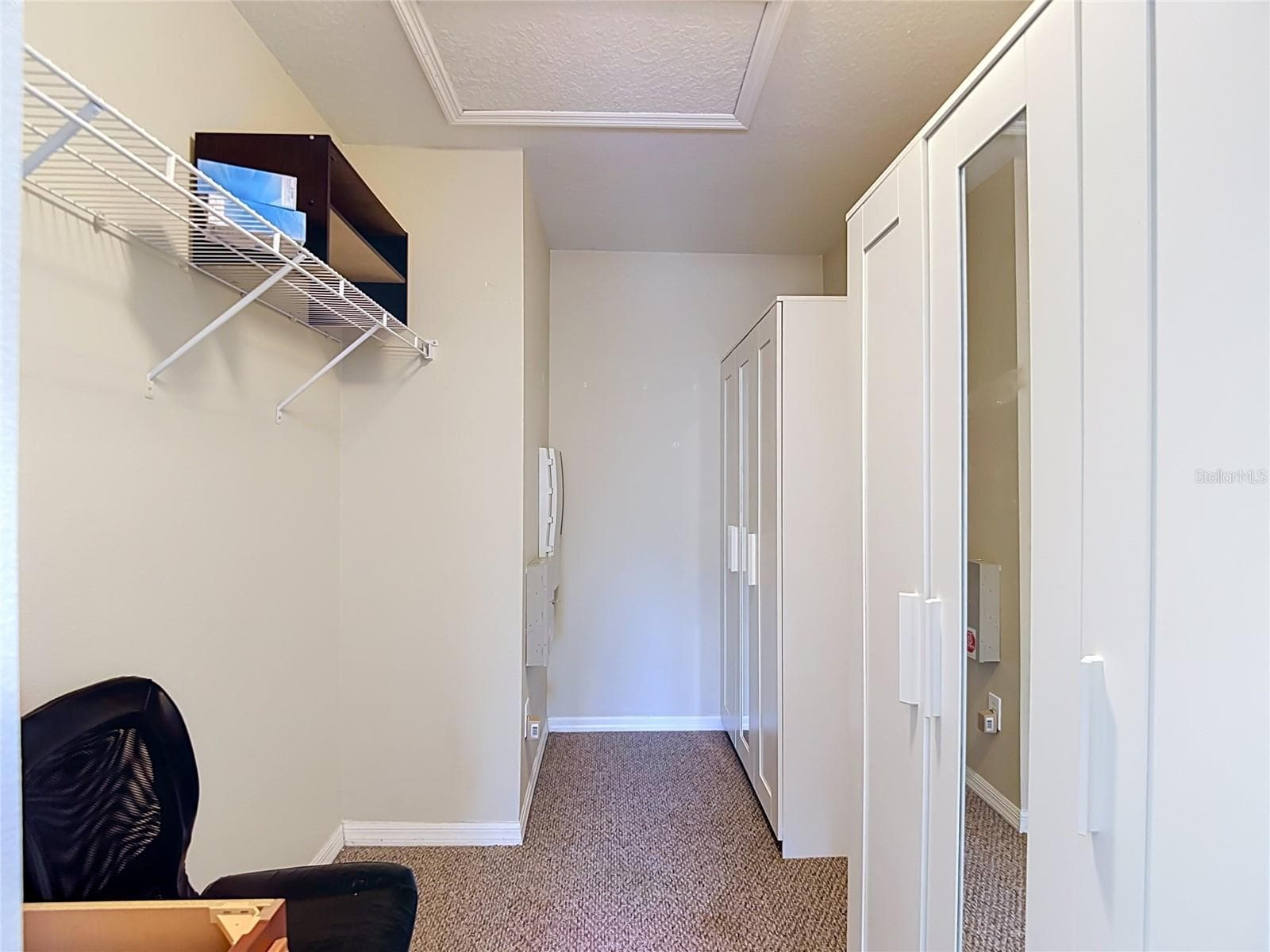 Primary Walk in Closet and extra space - 5014 BRIDGEWAY LN, LUTZ