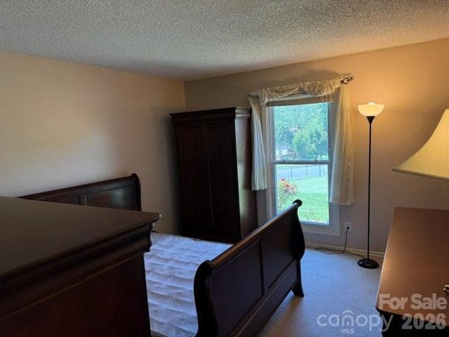 Primary Bedroom - 204 Scottlynn Drive, Asheville