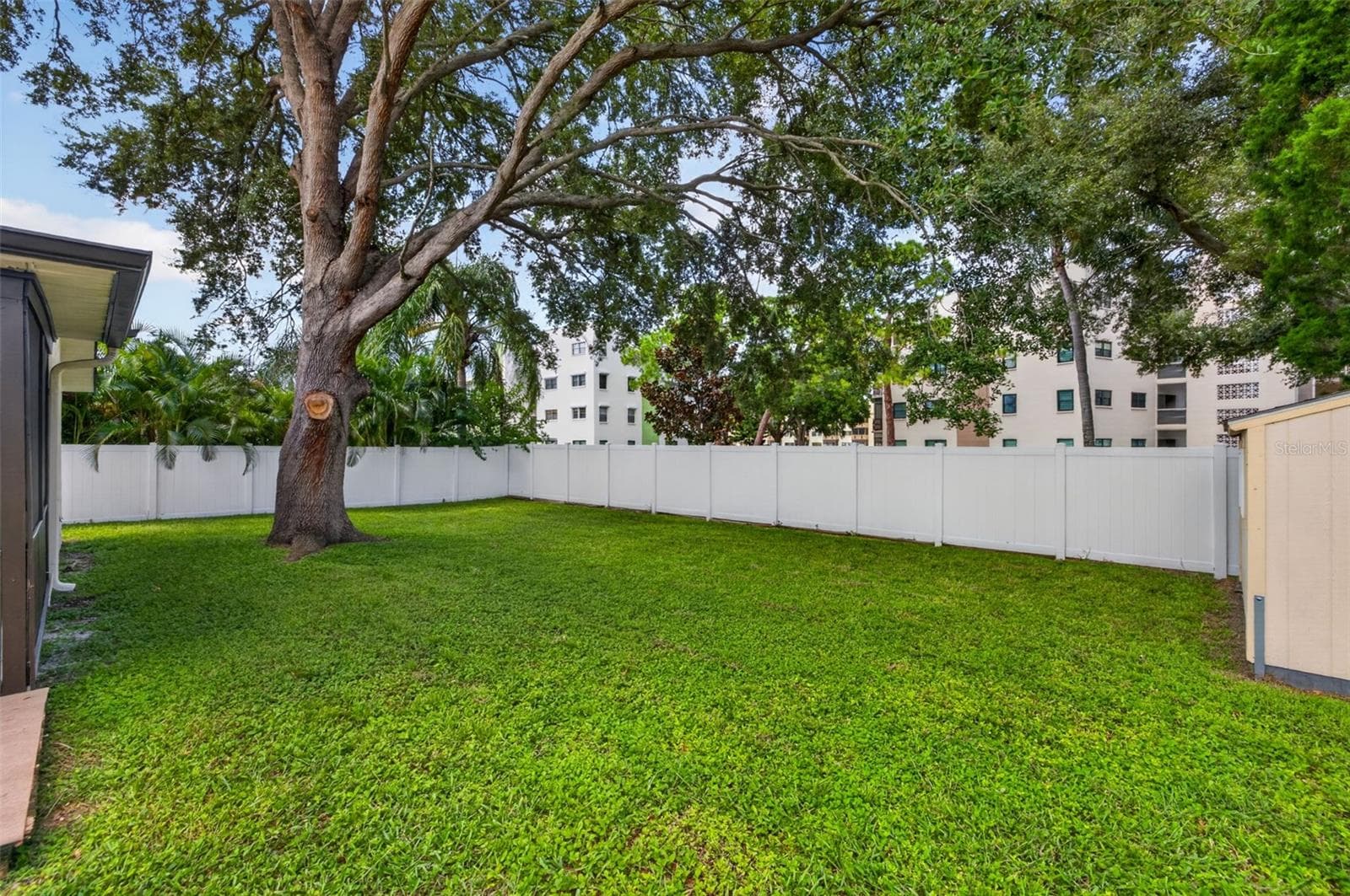 Backyard - 6170 SUNDOWN DR, ST PETERSBURG