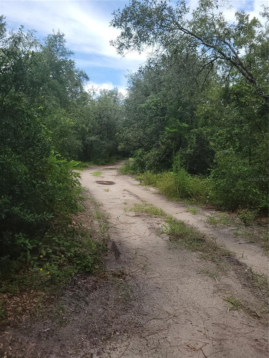 Land at 16518 HELEN K DR, SPRING HILL, photo 7 of 8