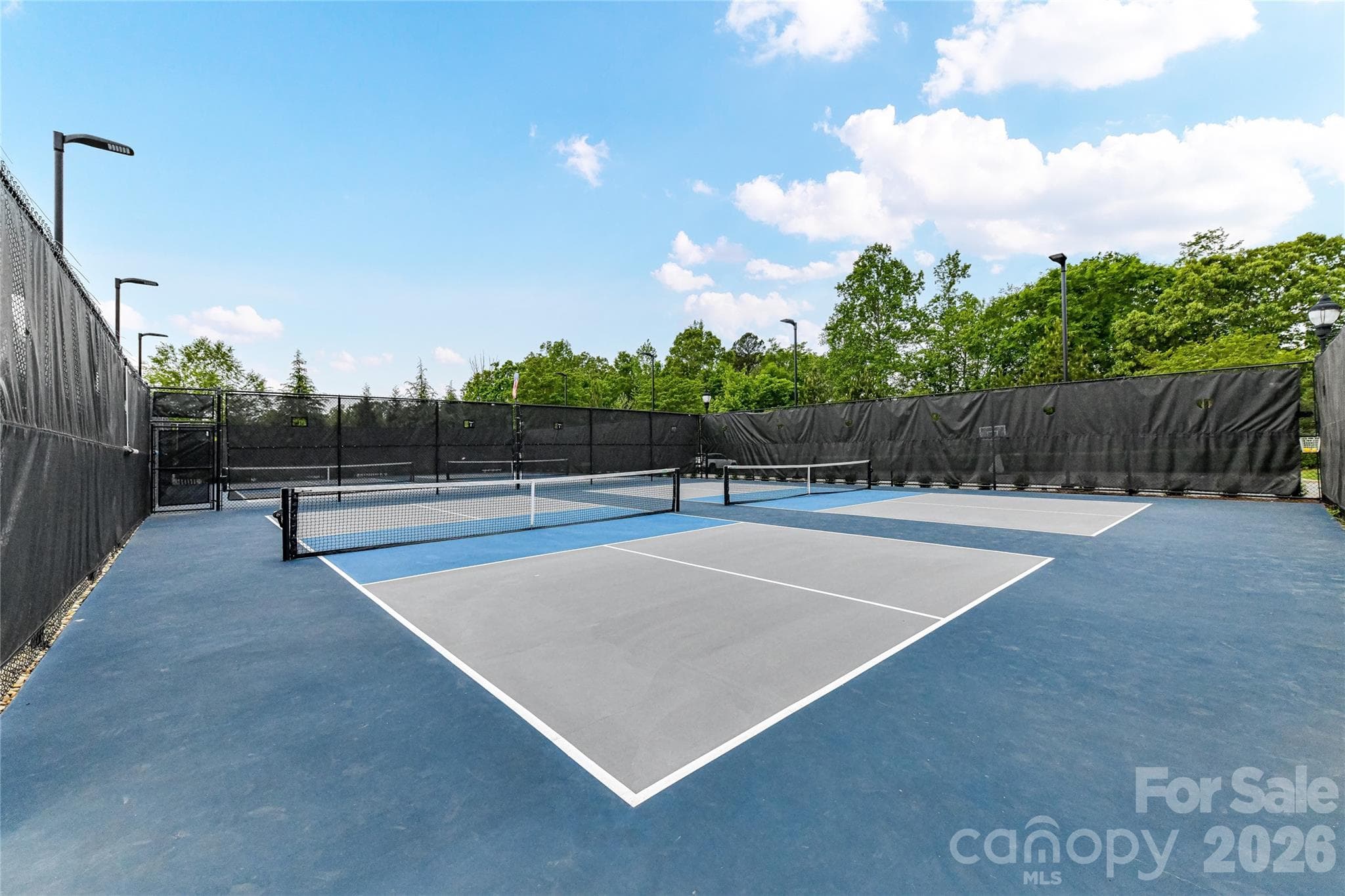 Community Pickleball! - 13003 Riley Grace Lane, Cornelius