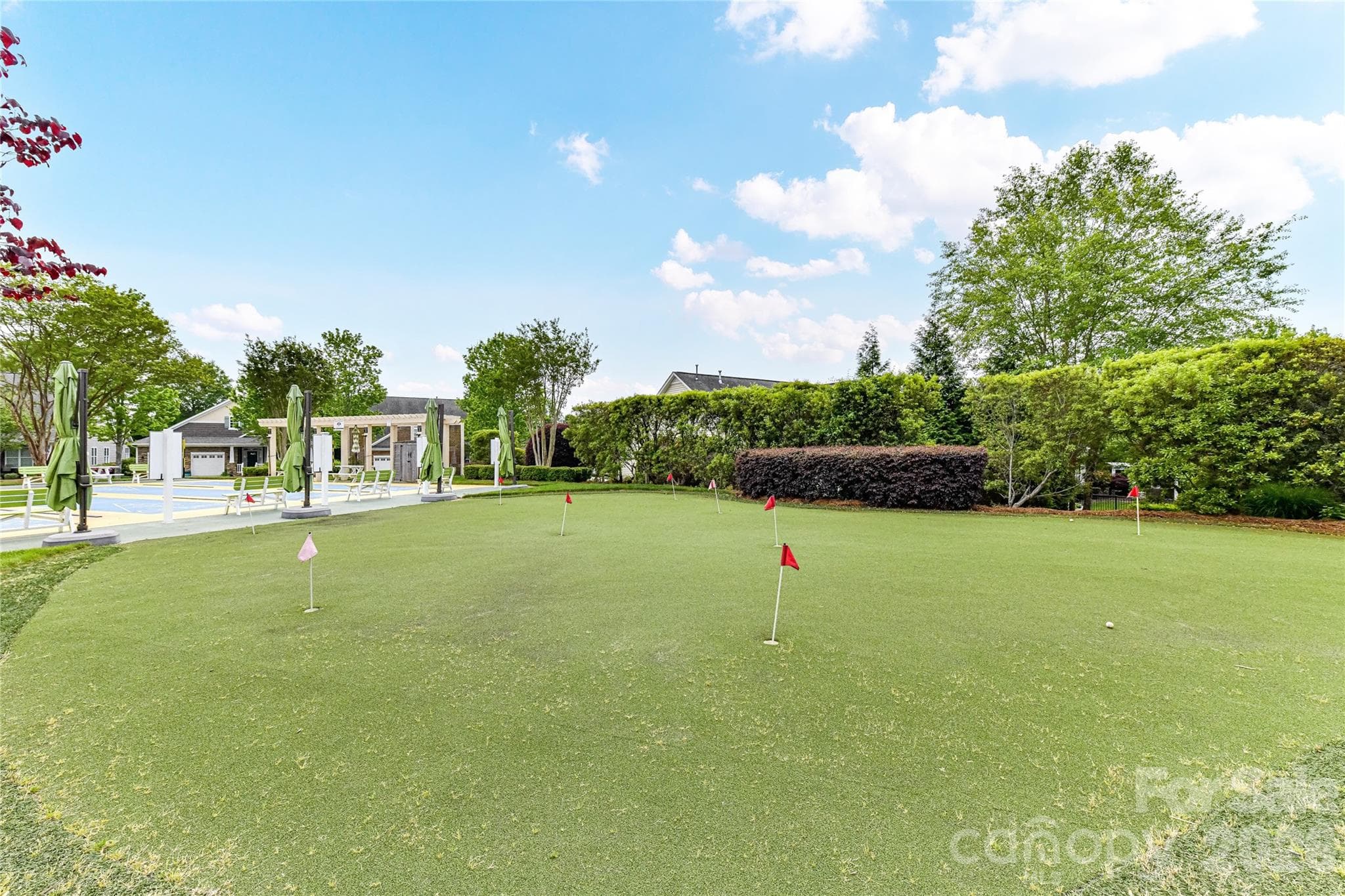 Community Putting Green! - 13003 Riley Grace Lane, Cornelius