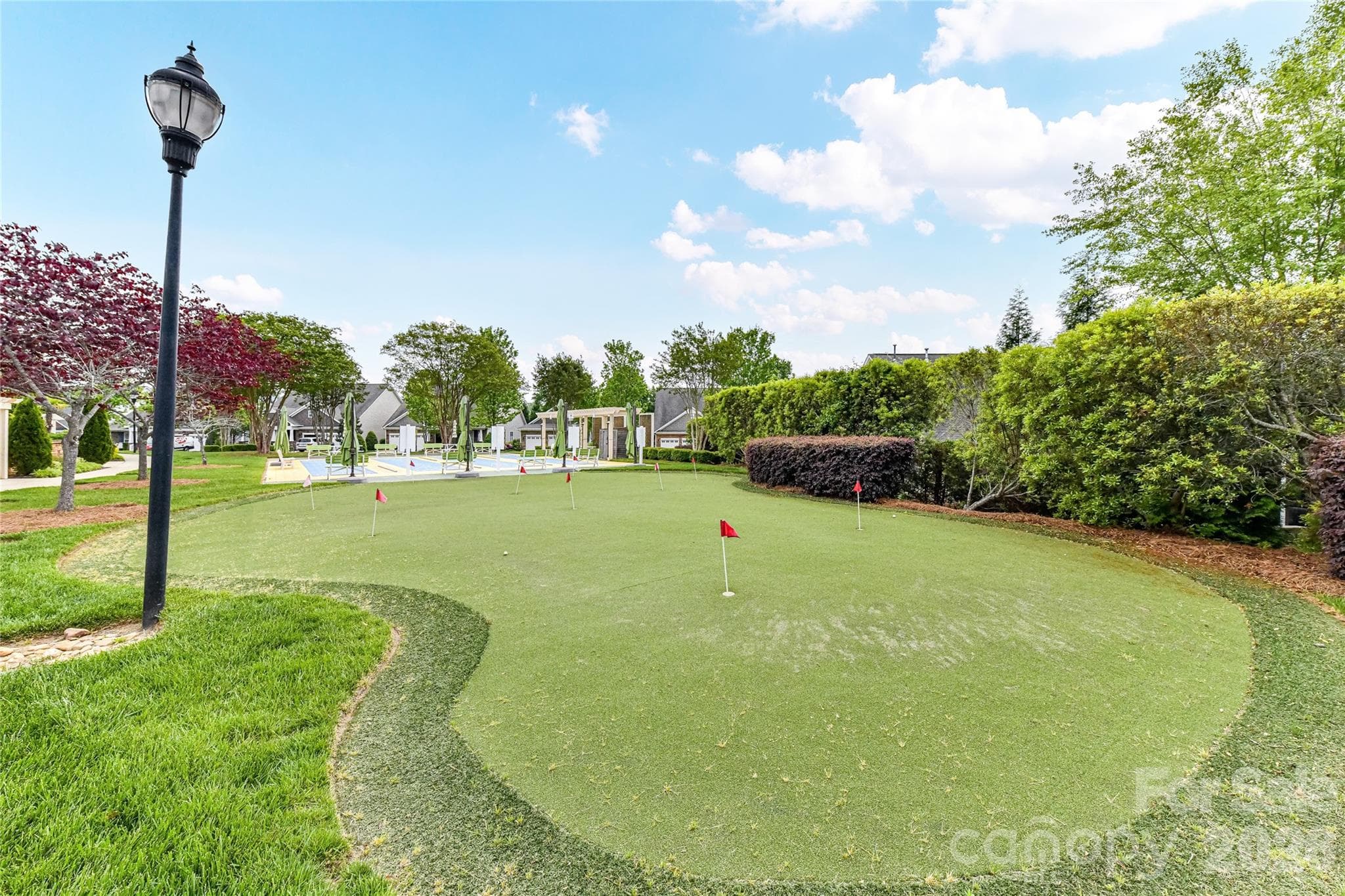 Community Putting Green! - 13003 Riley Grace Lane, Cornelius